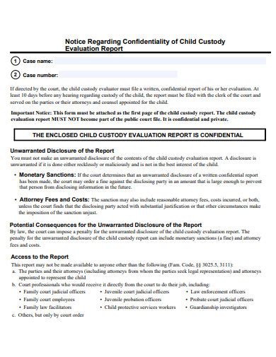 Custody Evaluation Report 5 Examples Format How To Writ Pdf