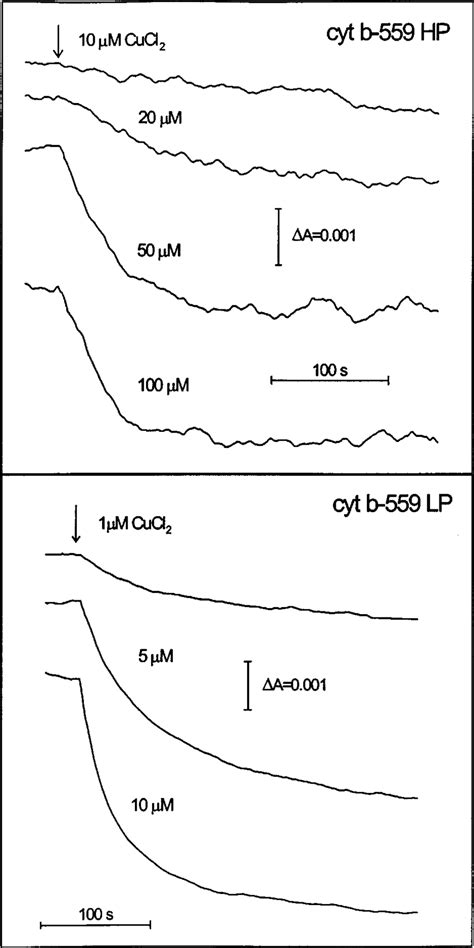 Dark Oxidation Of Cyt B 559 Hp And Lp Forms By Cucl 2 In Psii Particles Download Scientific