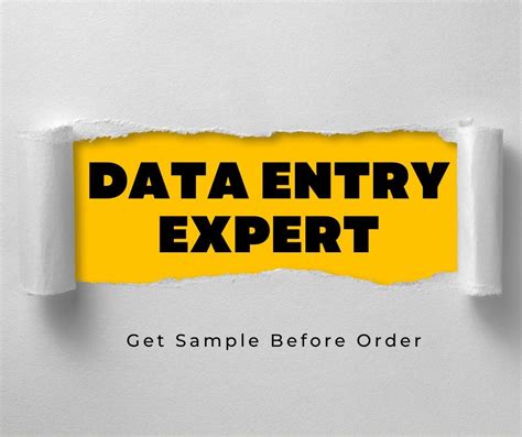 Data Entry Expert Data Entry Pro Medium