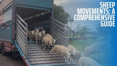 Datcp Home Sheep Goat Movement