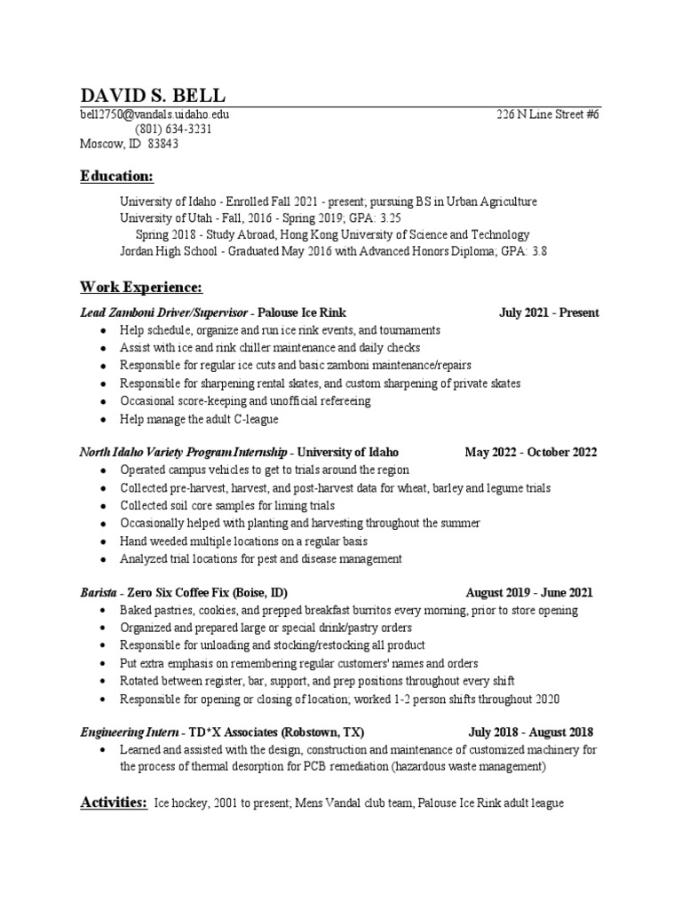 David Bell Resume Pdf