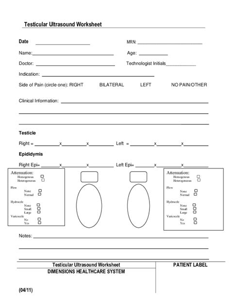 Deers Information Worksheet Fill Out Sign Online Dochub