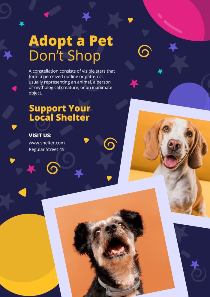 Design For Free This Colorful Pattern Pet Adoption Poster Template