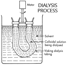 Dialysis Method 12 Download Scientific Diagram