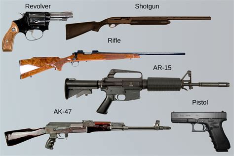 Different Types Of Rifles