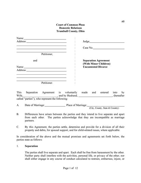 Divorce Settlement Agreement Divorce Settlement Form Marital