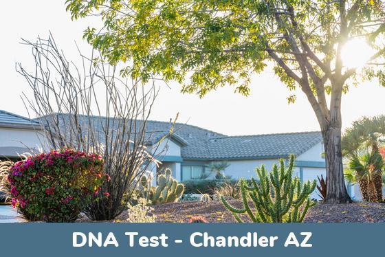 Dna Testing Locations Chandler Az Health Street