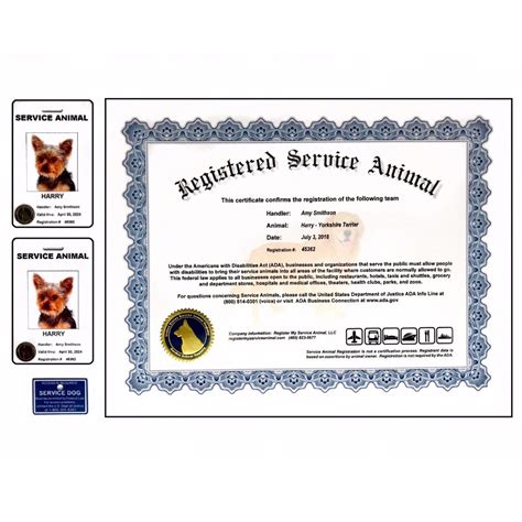 5 Service Animal Paperwork Facts