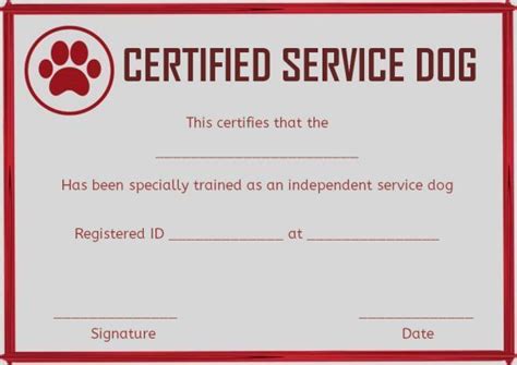 Service Dogs Paperwork Requirements