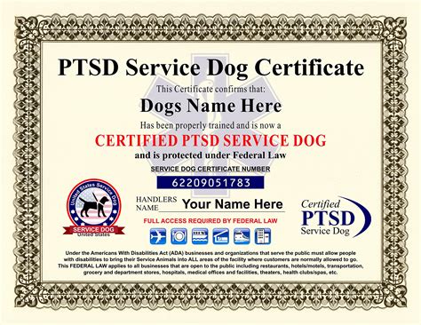 Service Dog Paperwork Requirements