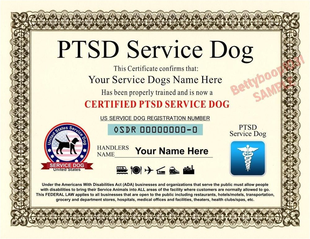 Service Dog Paperwork Requirements