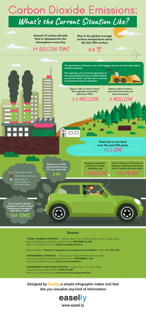 Do You Know Your Carbon Footprint A Case Study Infographics