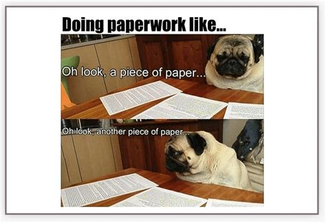 Do Your Paperwork Meme