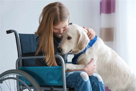 Does Insurance Help With Service Dogs