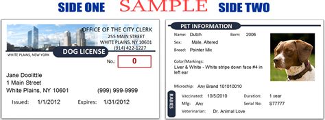 Dog License White Plains Ny Official Website