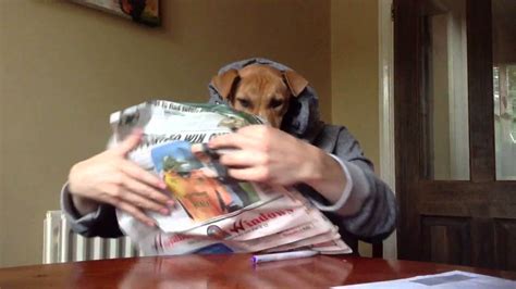 Dog Reads Newspaper And Does Paperwork With Human Hands Youtube