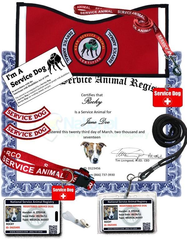 Dog Registration Lupon Gov Ph