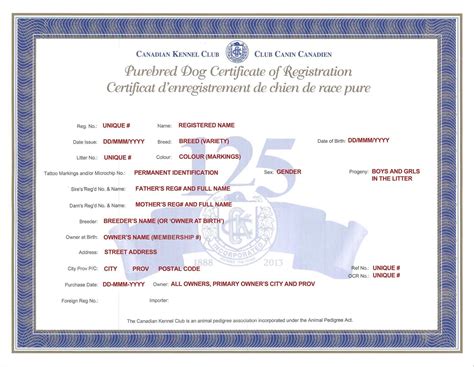 Dog Registration Papers