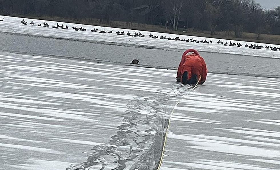 Dog Rescued After Falling Through Ice At Andrew Haydon Park Canada