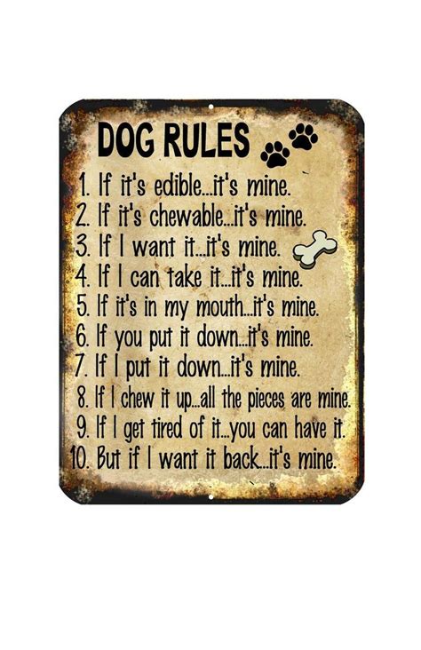 Dog Rules Funny Novelty Metal Sign 9X12 Animal Pet Owners Lovers