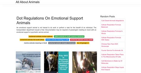 Dot Regulations On Emotional Support Animals