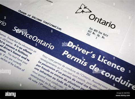 Driver Amp 39 S License Paperwork From Service Ontario Stock Photo Alamy