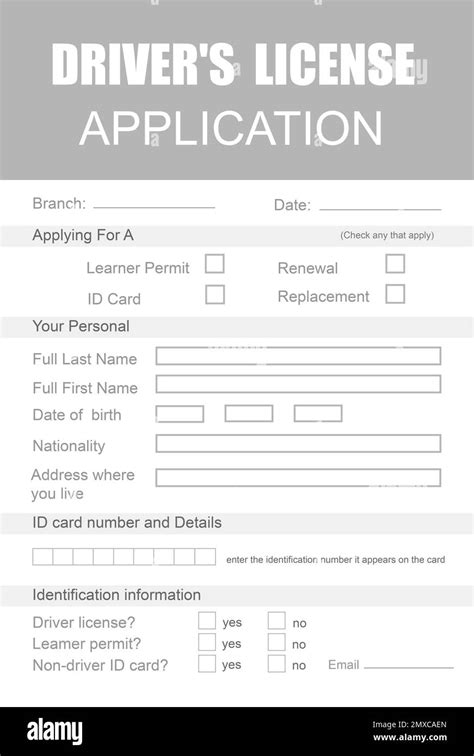 Driver S License Application Form Made In Colors Stock Illustration