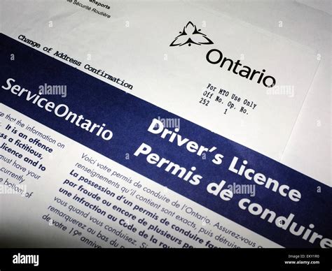 Driver S License Paperwork From Service Ontario Stock Photo Alamy