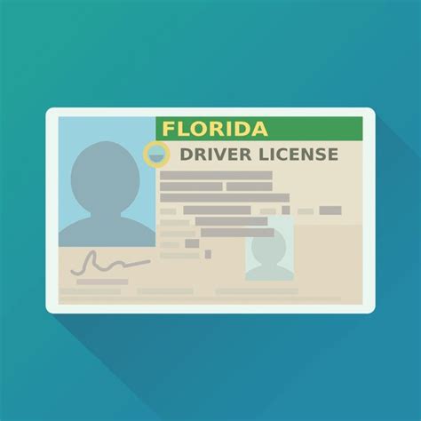 Drivers License Florida Royalty Free Images Stock Photos Pictures