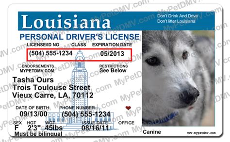 Drivers License In Louisiana Requirements Fetoloper