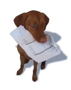 Duplicate Policy Documents Request Pet Business Insurance