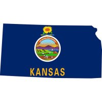 Easy Kansas Food Stamps Application Pdf Quick And Convenient 2023