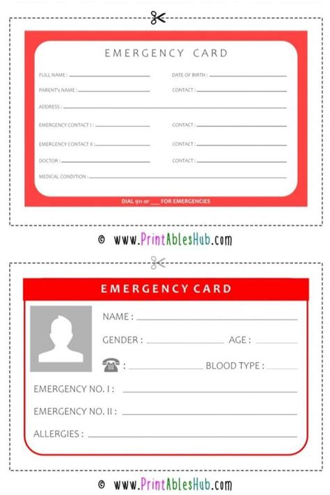 Editable Kids Contact Emergency Information Template With Po Artofit