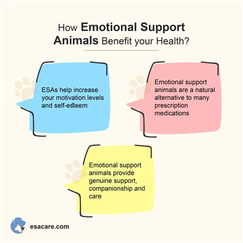 Emotional Support Animal Center Disclaimer