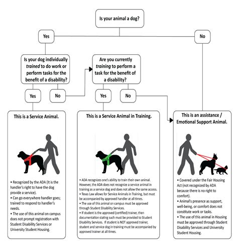 Emotional Support Animals Wtamu