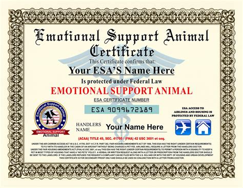 Emotional Support Dog Certificate By My Esa Doctor Issuu