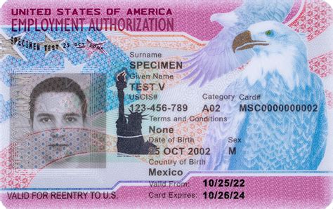 Employment Authorization Document Ead In The United States