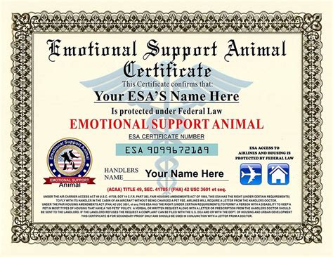 Esa Documentation Emotional Support Animal Documents