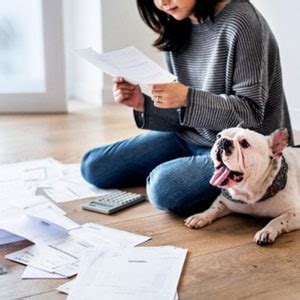 Estate Planning For Pet Owners Legacy Law Centers