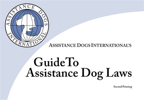 Everything You Need To Know About Guide And Assistance Dogs 2023