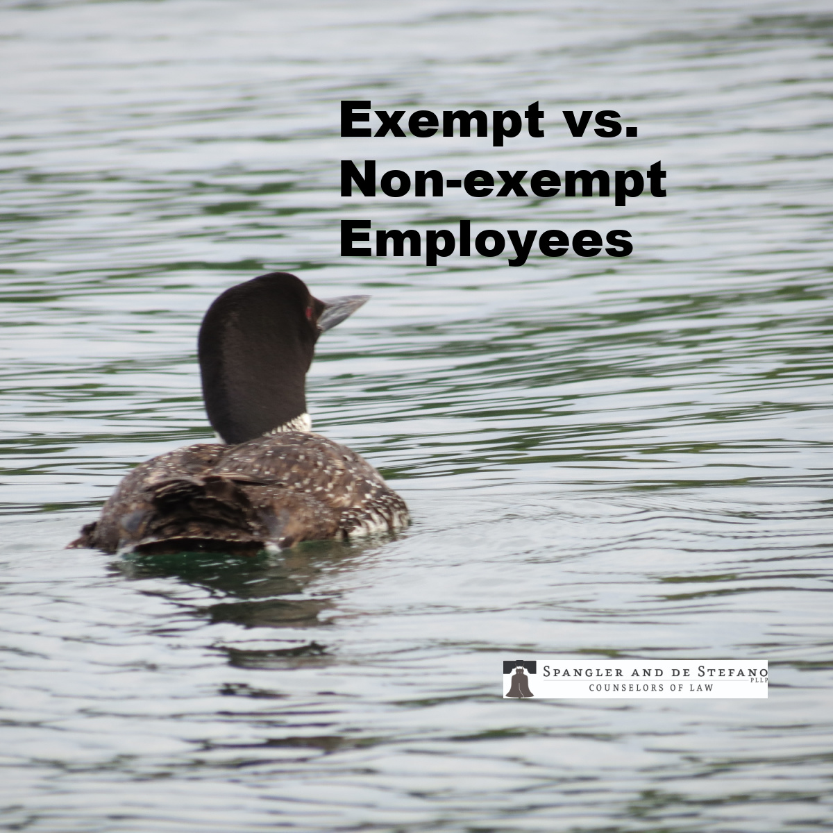 Exempt Vs Non Exempt Employees 2023 Indinero