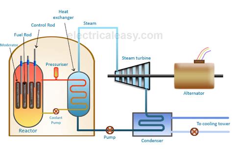 Explanation Of Nuclear Power Plant With Diagram Forms Of Ene