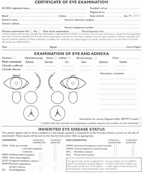 Eye Exam Forms Template Stcharleschill Template