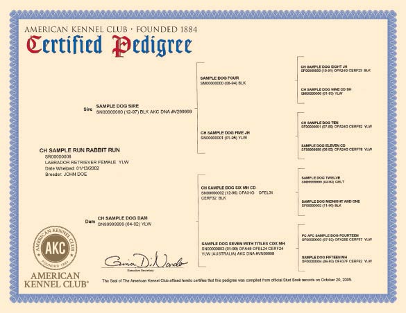 False Or True Pedigree Page 1