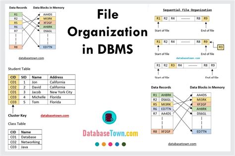 File Organization In Database Types Of File Organization In Dbms