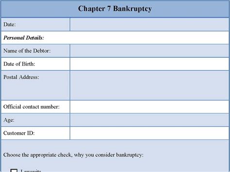 Fillable Bankruptcy Form Sample Fillable Bankruptcy Form