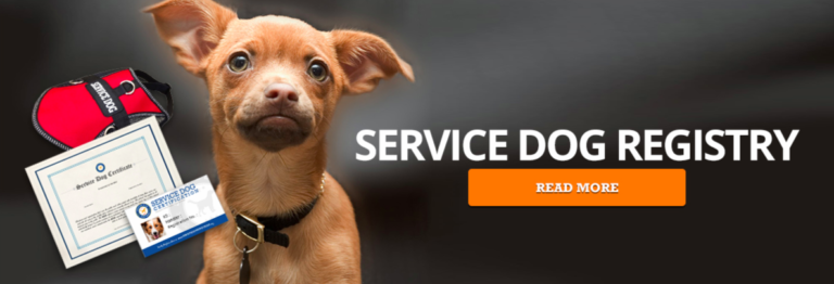 Fillable Online Service Dog Rules For Staying In Hotels Fax Email