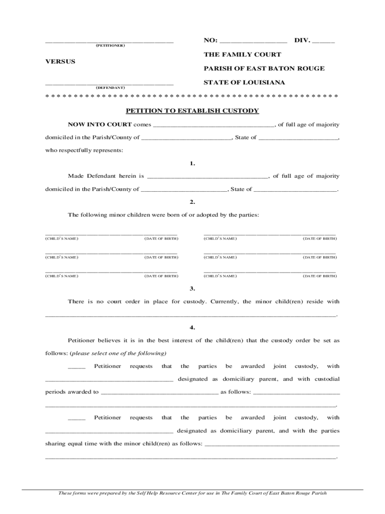 Fillable Petition To Establish Custody Form Printable Pdf Download