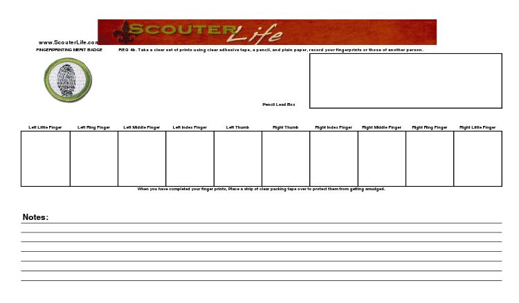 Fingerprinting Merit Badge Worksheets