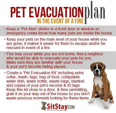 Fire Evacuation Plan For Pets